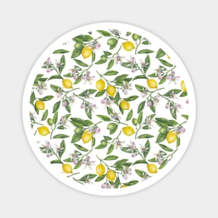 Lemon branches with blossoms and fruit 4 Magnet